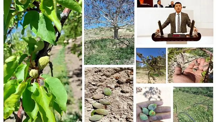 Ağbaba Don Felaketi İçin Meclis Araştırma Komisyonu Kurulmasını İstedi