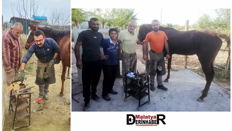 At Sevgisinden Nalbantçılığa Giden Hayat Hikayesi