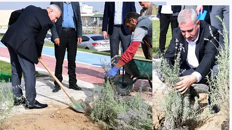 Başkan Çınar Bostanbaşı Mahallesindeki Lavanta Parkı İnceledi