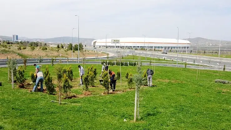 Büyükşehir Belediyesi Parkları ve Refüjleri Yeniliyor