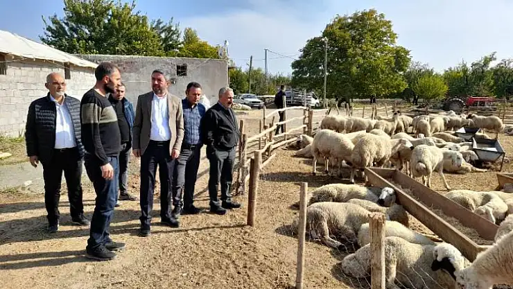 CHP'li Kiraz' Mağdur Olan Üreticimizin Zararı Karşılansın'