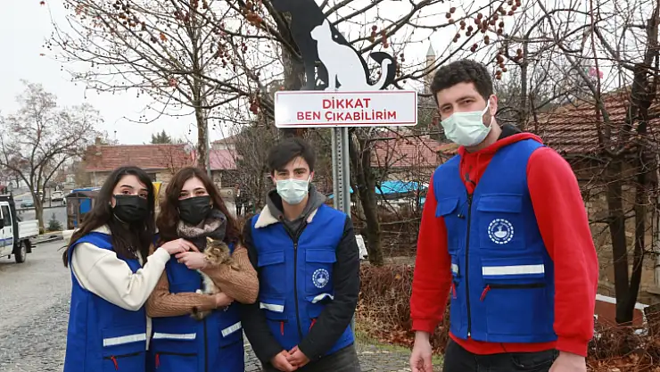 Elazığ Belediyesi, Sokak Hayvanları İçin Uyarı Tabelaları Astı