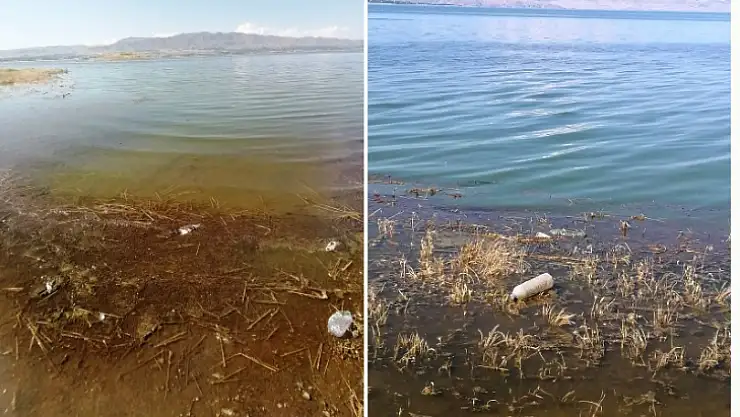 Elazığ Hazar Gölü'nde Oluşan Kirlilik Balık Ölümlerine mi Yol Açtı?