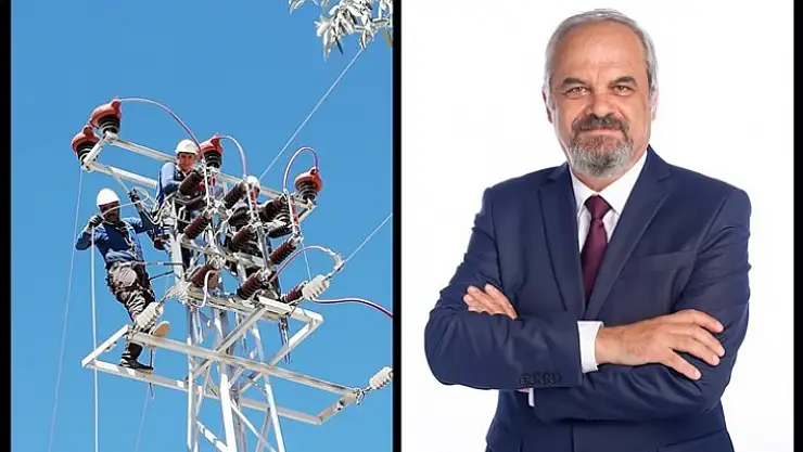 Fırat Edaş'ın 'Özgür Kuşlar' Projesiyle Göçmen Kuşlar Güvende