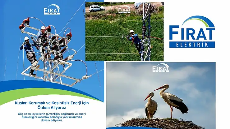 Fırat EDAŞ'tan Doğal Yaşama Dost Yatırımlar: Enerjide Güven, Doğada Huzur