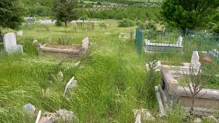 Gözene Mezarlığında Yabani Ottan Mezarlar Kayıp
