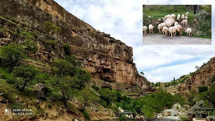 Hekimhan Girmana Üretim Kooperatifi Kuruluşunu Tamamladı!