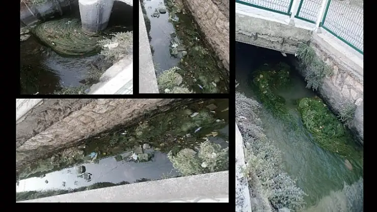 Kanalın Hali Ne Olacak?