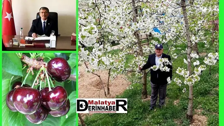Kiraz Bahçeleri Beyaz'a Büründü!