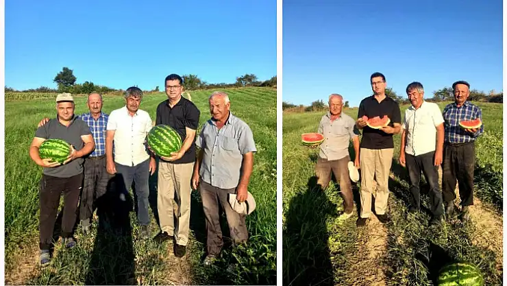 Kırklareli Bayramdere Karpuzu Markalaşma Yolunda