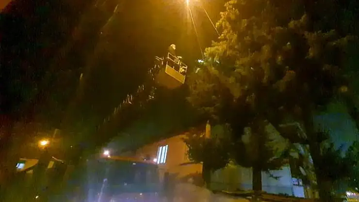 Mahsur Kalan Kediyi İtfaiye Kurtardı