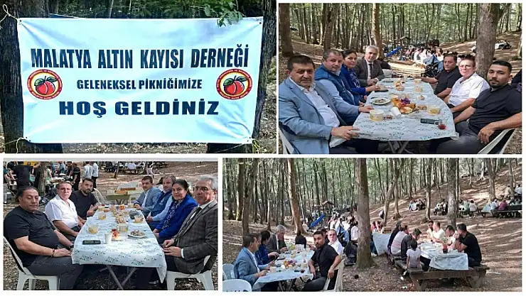 Malatya Altın Kayısı Derneği 2. Geleneksel Köy Pikniği Düzenlendi