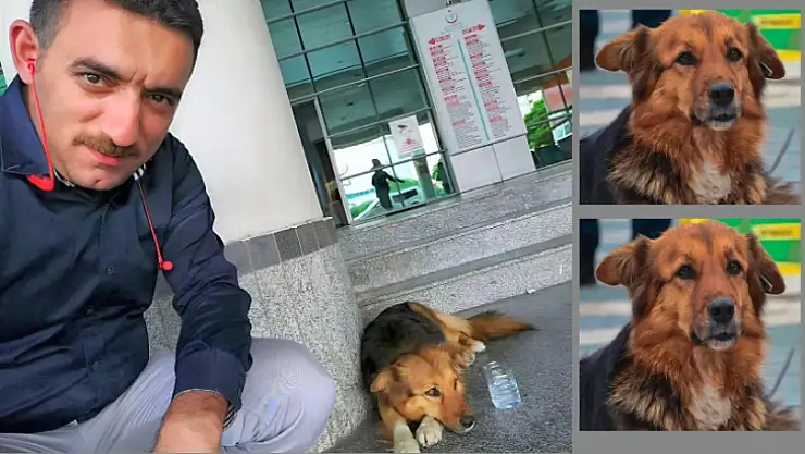Malatya'nın Maskotu Badem Hayatını Kaybetti