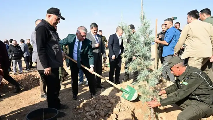'Milli Ağaçlandırma Günü' Kapsamında Fidan Dikim Etkinliği