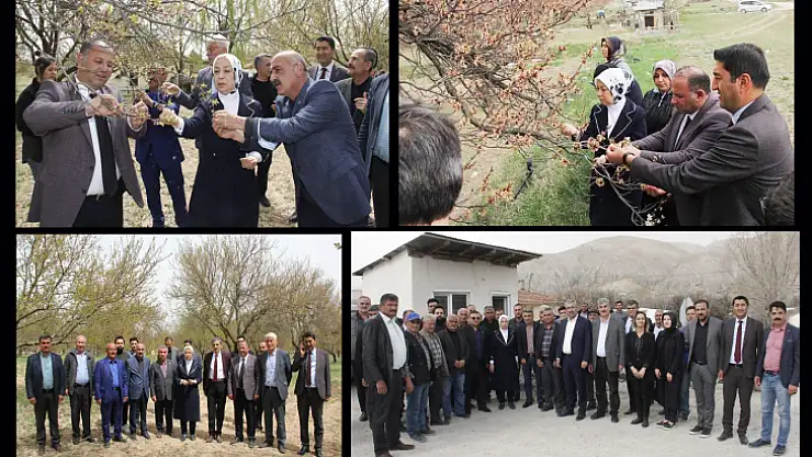 Mv. Çalık' Kayısının Yandığını Görüyoruz'