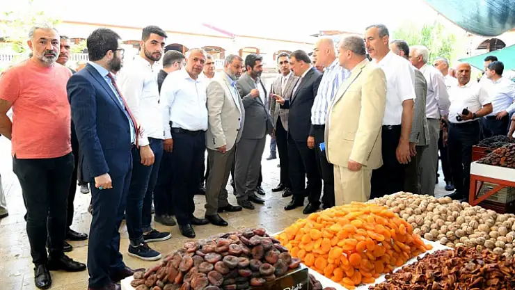 Şire Pazarı Ziyaret