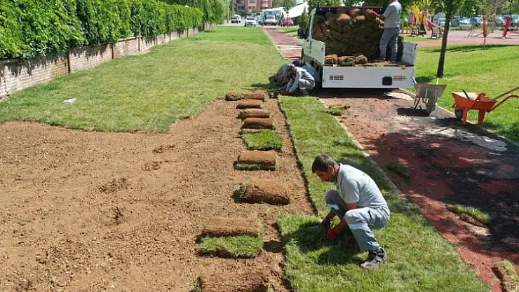 'Üç Yılda 80 Bin Metrekare Rulo Çim Ürettik'