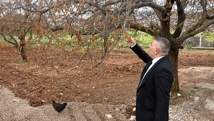 Verilecek Destekler Sadece Kayısıyı Değil Şehrimizin Geleceğini İlgilendiriyor