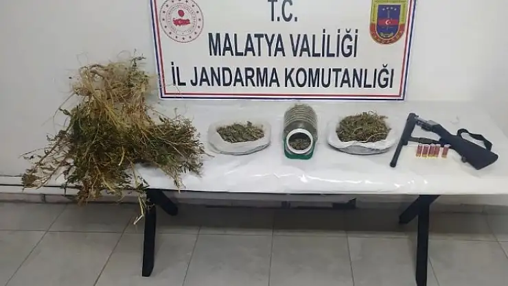 Yasadışı Kenevir Ekimine Jandarma'dan Operasyon