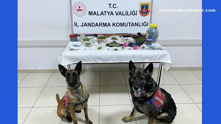 Yazıhan'da Jandarma'dan Uyuşturucu Operasyonu