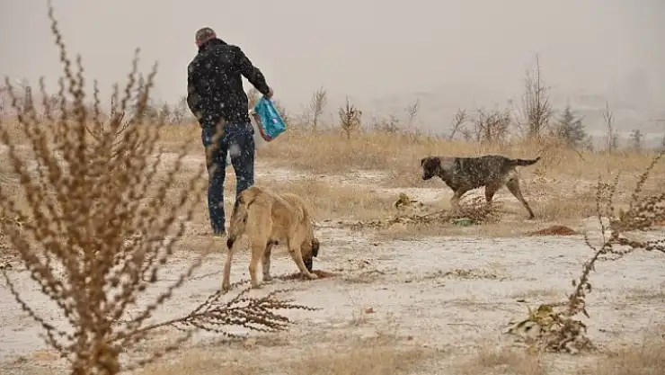 Yeşilyurt Belediyesi Ekipleri Sokak Hayvanlarını Unutmadı