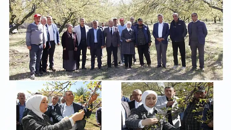 Zirai Don Nedeniyle Hasar Tespit Çalışmaları Başladı