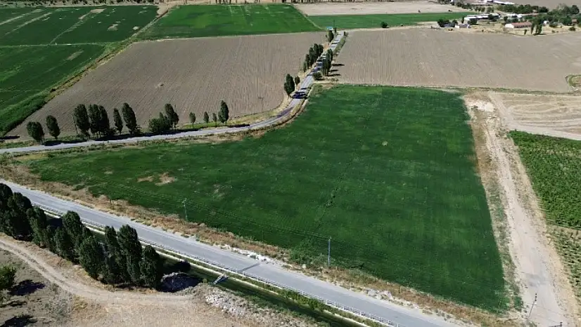 Battalgazi'de Yerli Üretimle Yeşil Alan Seferberliğii