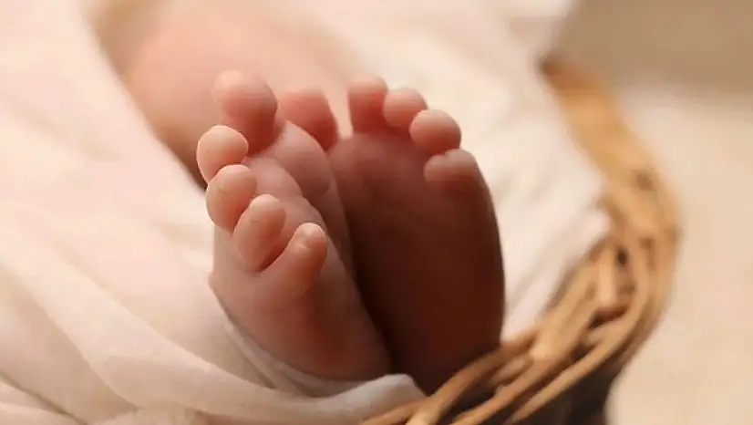 Doğum Yardımı Başvuruları Başladı