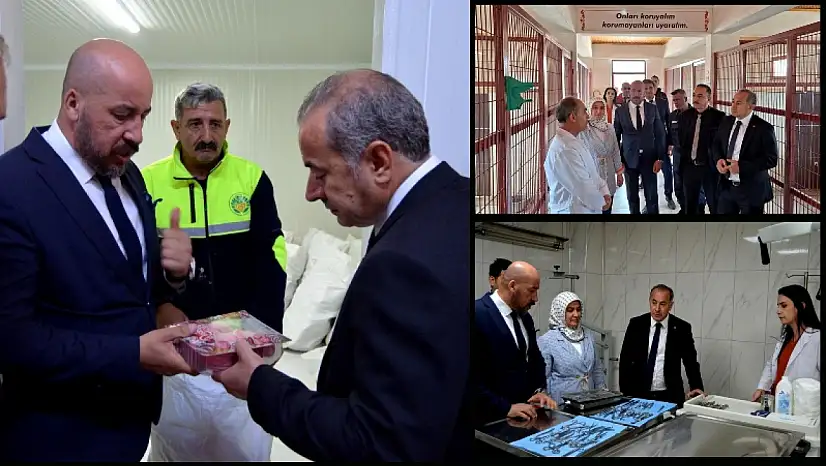 Hayvanları Koruma Kurulu Toplantısı Gerçekleşti