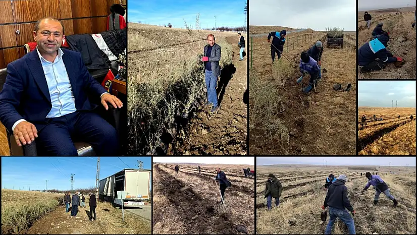 Hekimhan Söğüt Köyünde Muhtar Yaşar'ın Örnek Başarısı