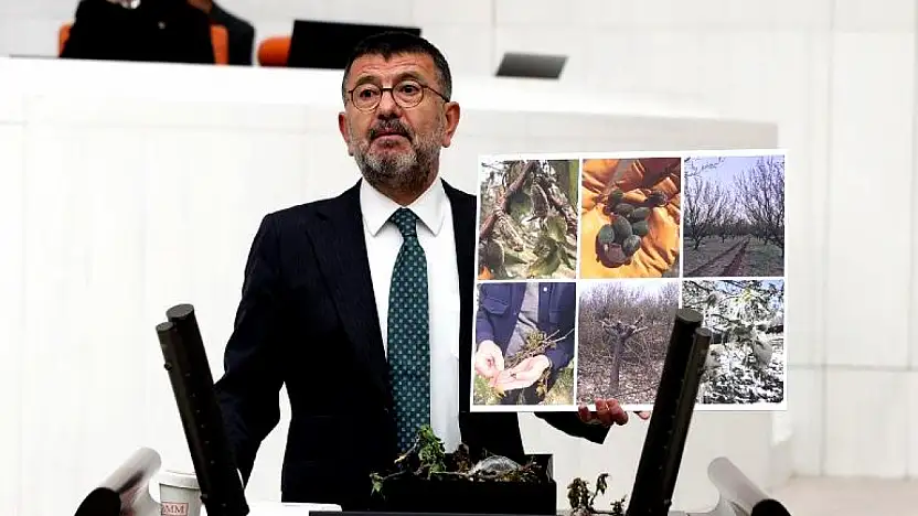 Ağbaba: Tüm Meyveler Tamamen Yanmış Daha Neyin Tespiti Yapılıyor?