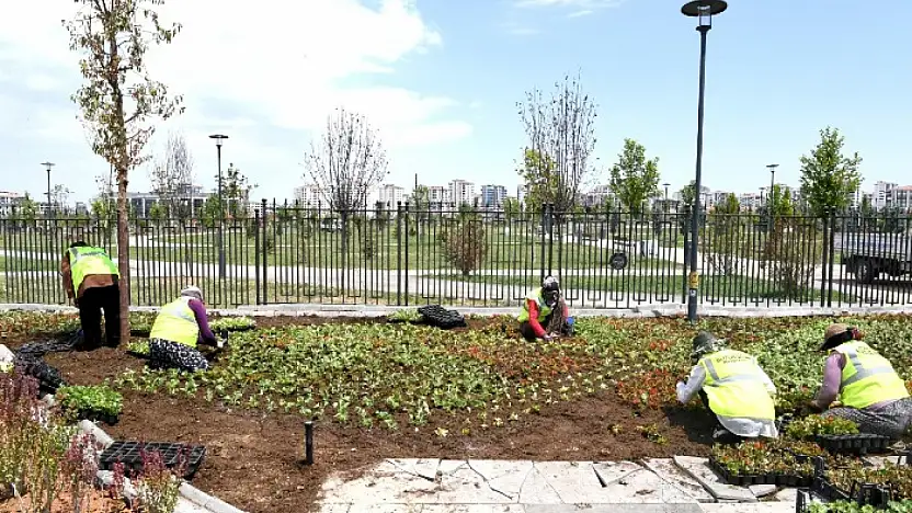 Büyükşehir Şehri Yazlık Çiçeklerle Donatıyor