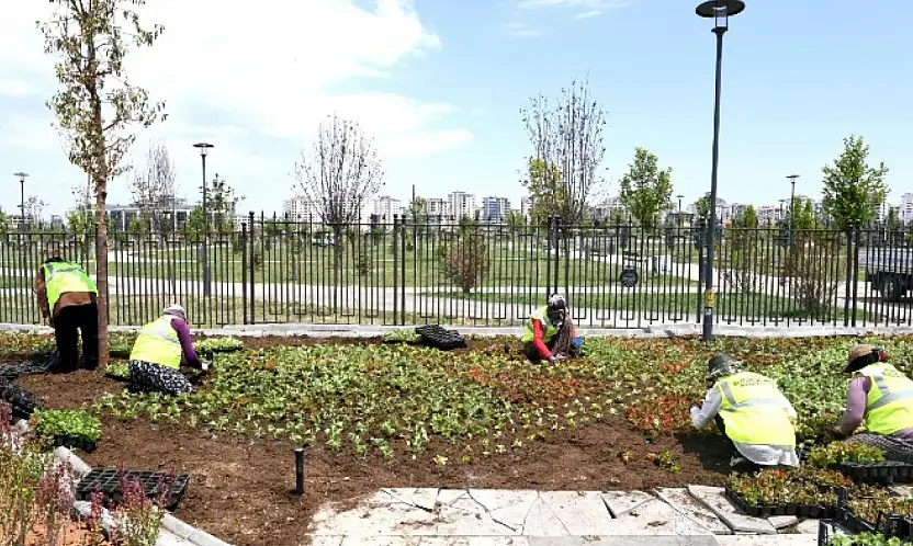 Büyükşehir Şehri Yazlık Çiçeklerle Donatıyor