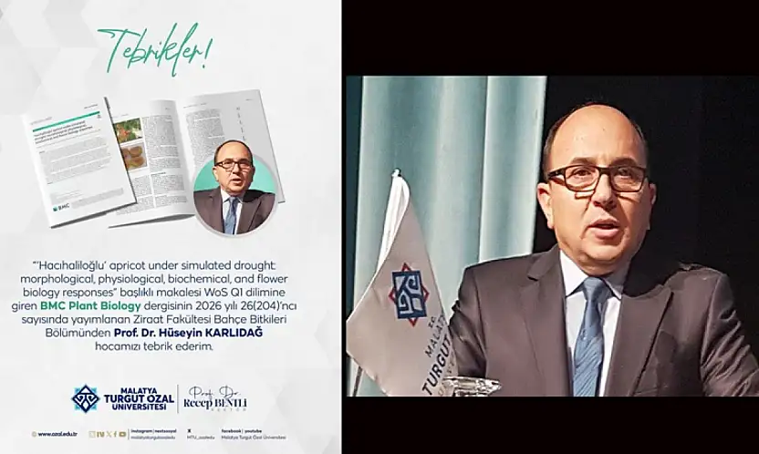 Kayısıda Bilimsel Devrim: MTÜ'den Dünya Çapında Akademik Başarı