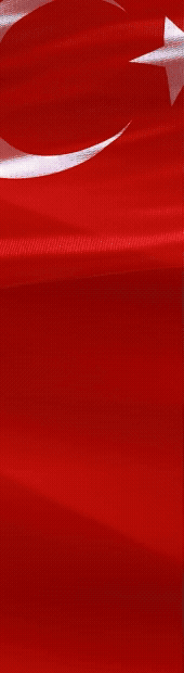 Veli Ağbaba Yılbaşı